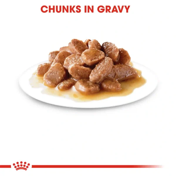 Pet food chunks in gravy on white plate.