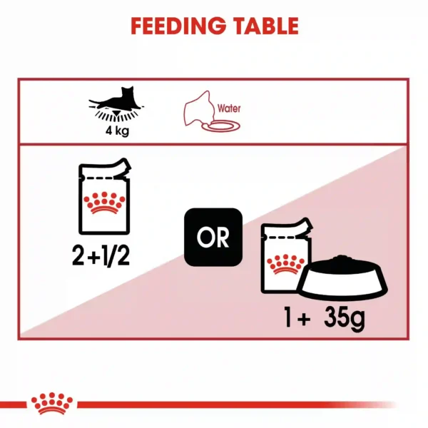 Cat feeding guide: 4kg wet or dry food.