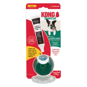 KONG Dental toy and teeth cleaning gel pack.